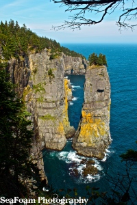 Giant sea stack. 